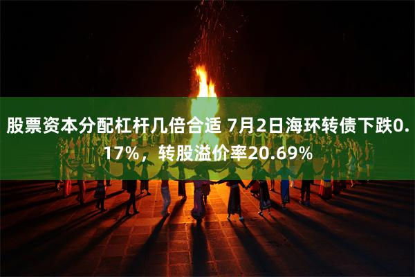 股票资本分配杠杆几倍合适 7月2日海环转债下跌0.17%，转股溢价率20.69%