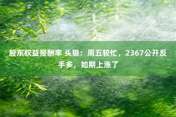 股东权益报酬率 头狼：周五较忙，2367公开反手多，如期上涨了