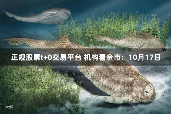 正规股票t+0交易平台 机构看金市：10月17日