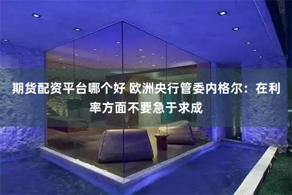 期货配资平台哪个好 欧洲央行管委内格尔：在利率方面不要急于求成