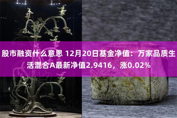 股市融资什么意思 12月20日基金净值：万家品质生活混合A最新净值2.9416，涨0.02%