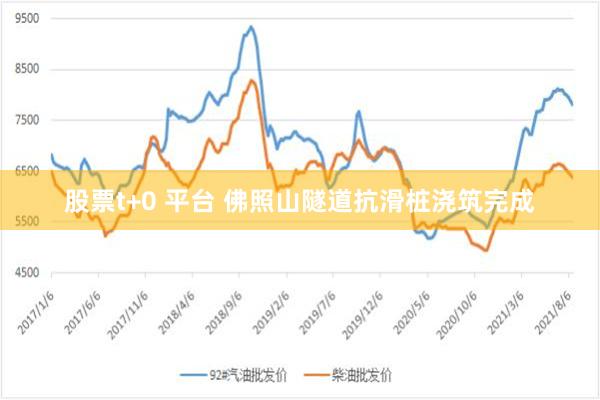 股票t+0 平台 佛照山隧道抗滑桩浇筑完成