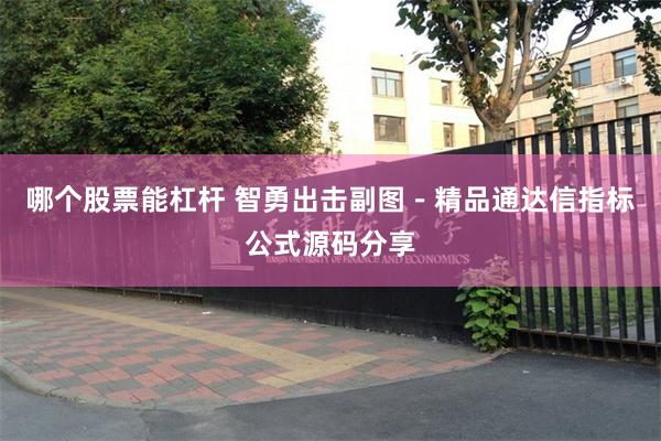 哪个股票能杠杆 智勇出击副图－精品通达信指标公式源码分享