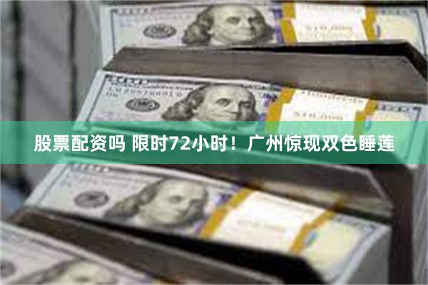 股票配资吗 限时72小时！广州惊现双色睡莲