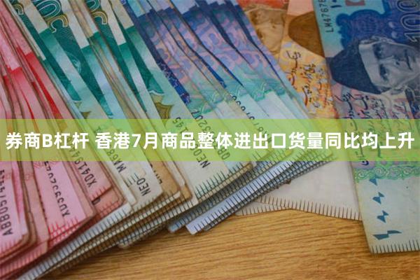 券商B杠杆 香港7月商品整体进出口货量同比均上升